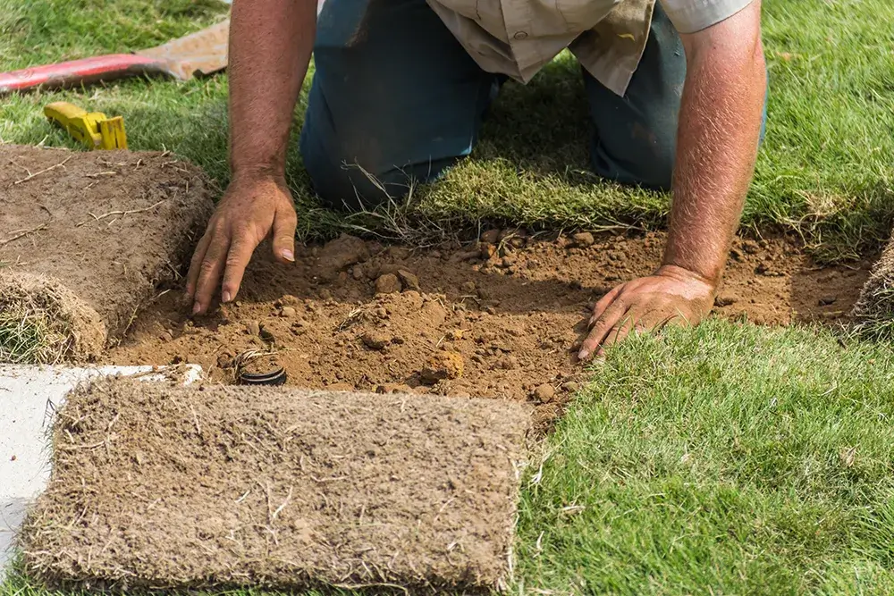 Turfing Brisbane