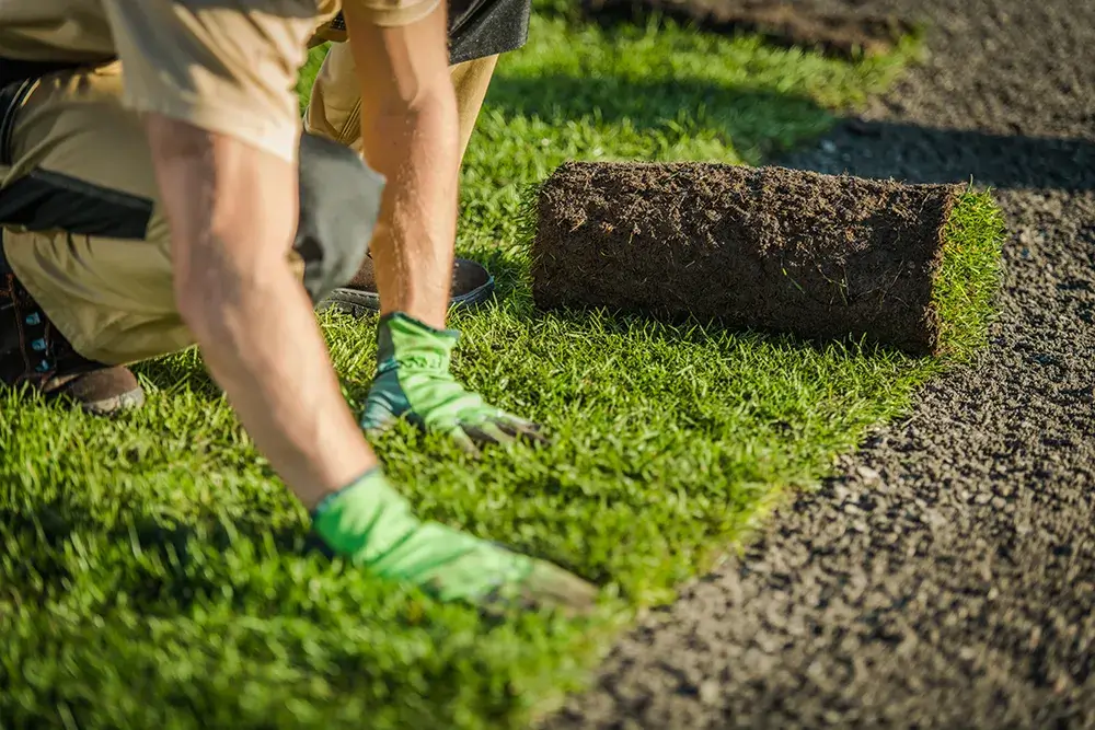 Garden Turfing